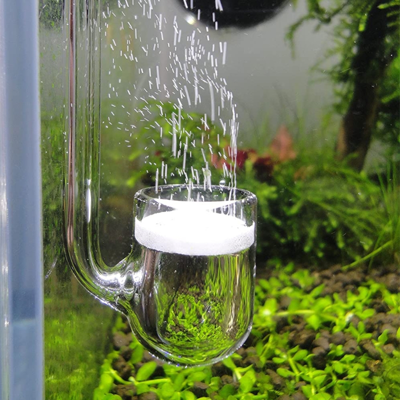 Aquarium Plant Design - Difusor CO2 vidrio D0AD para acuario