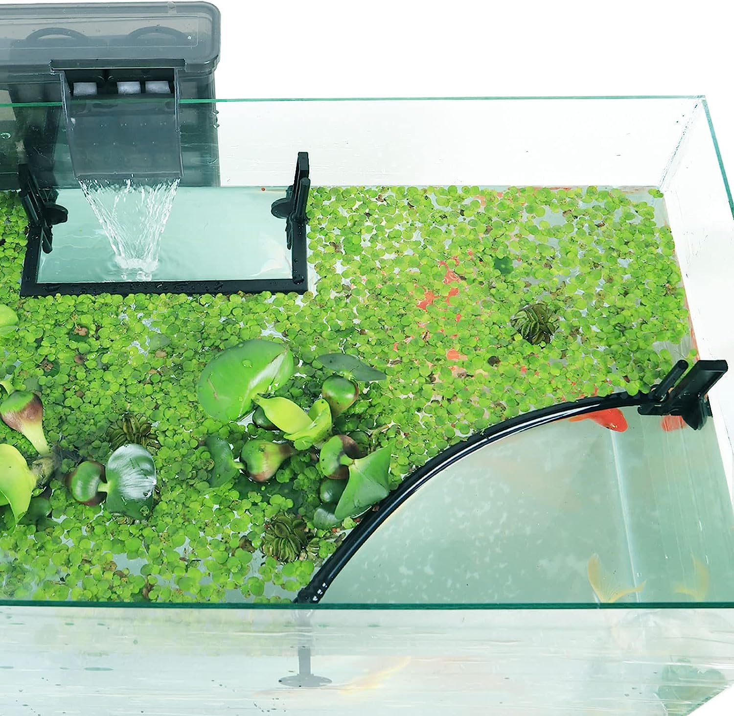 Planted Aquarium Heater - Corral de plantas flotantes para acuario,