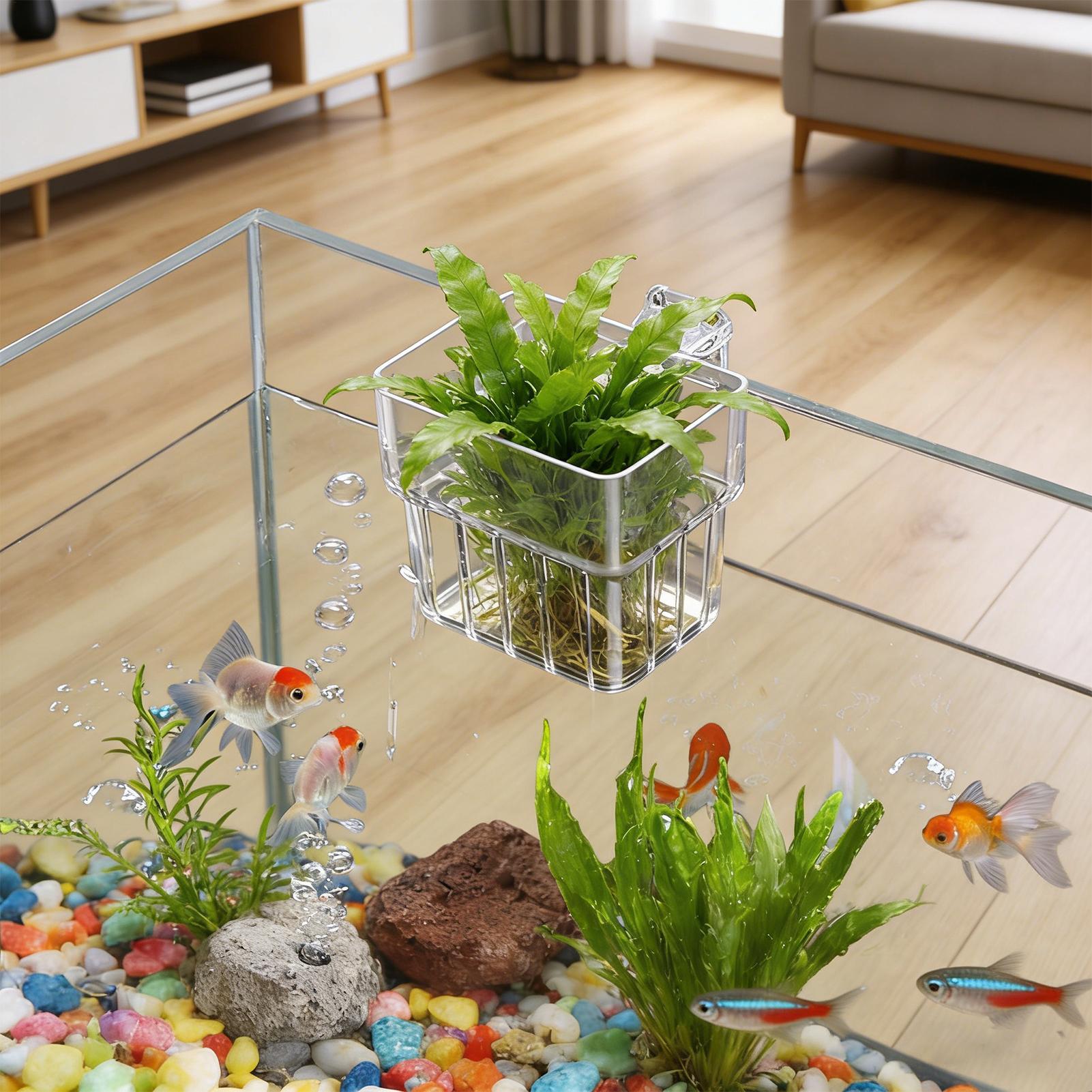 Planted Aquarium Kit - Maceta Transparente Colgante para Plantas de