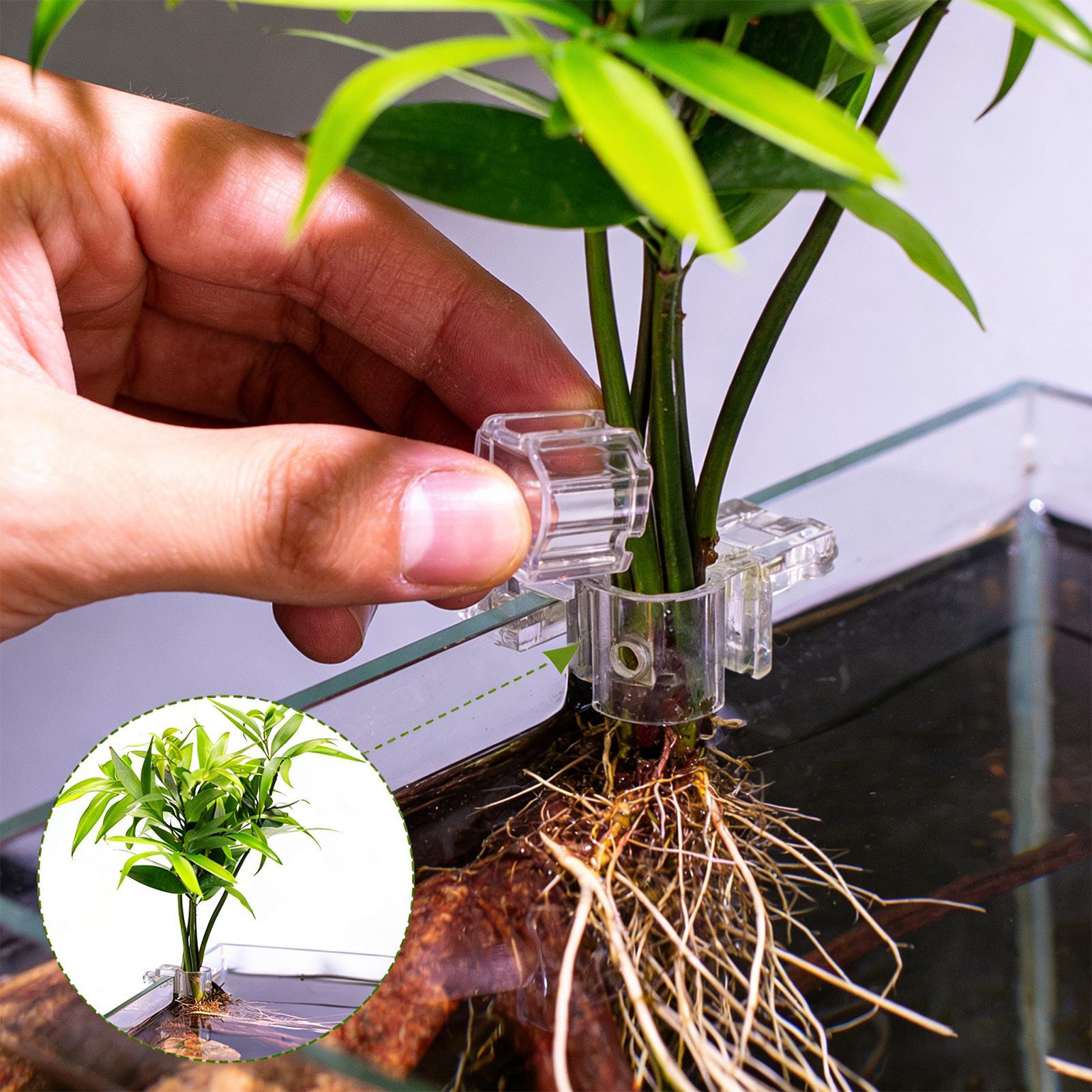 Aquarium Plant Diseases - Soportes para plantas de acuario, soporte