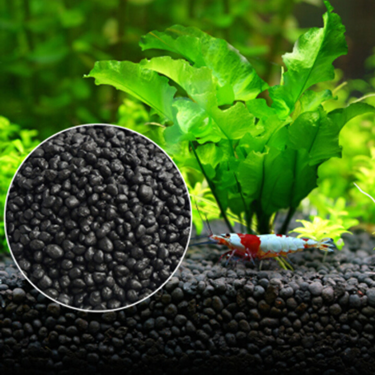 Aquarium Plant In Pot - Semillas de plantas de Acuario, sustrato