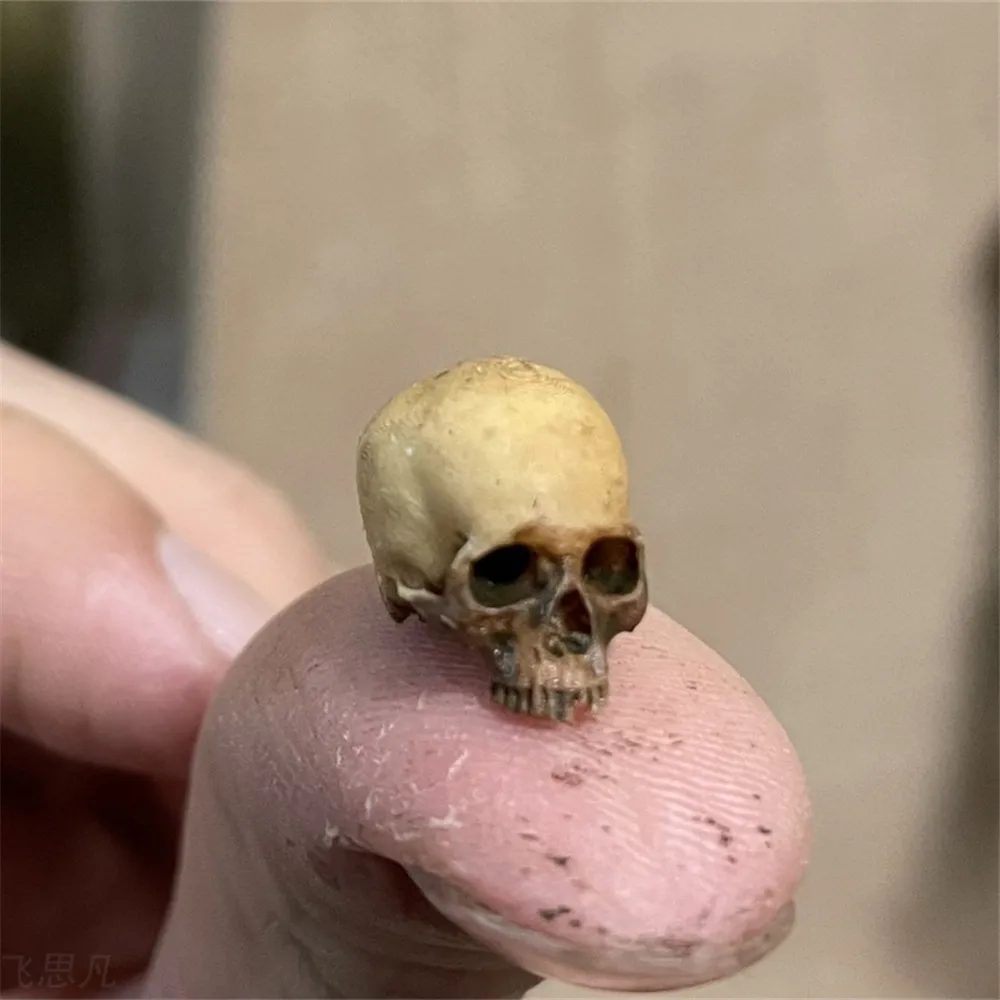 Aquarium Plant In Pot - Mini calavera, modelo en miniatura de