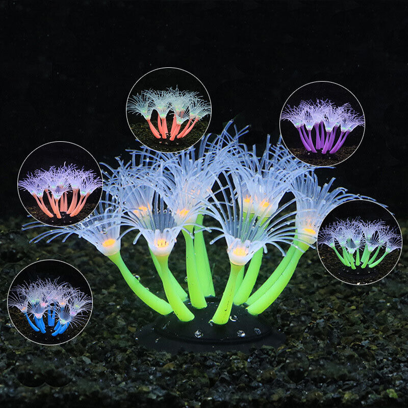 Decoración Subacuática para Ac - Aquarium Plant Design reseña y precio