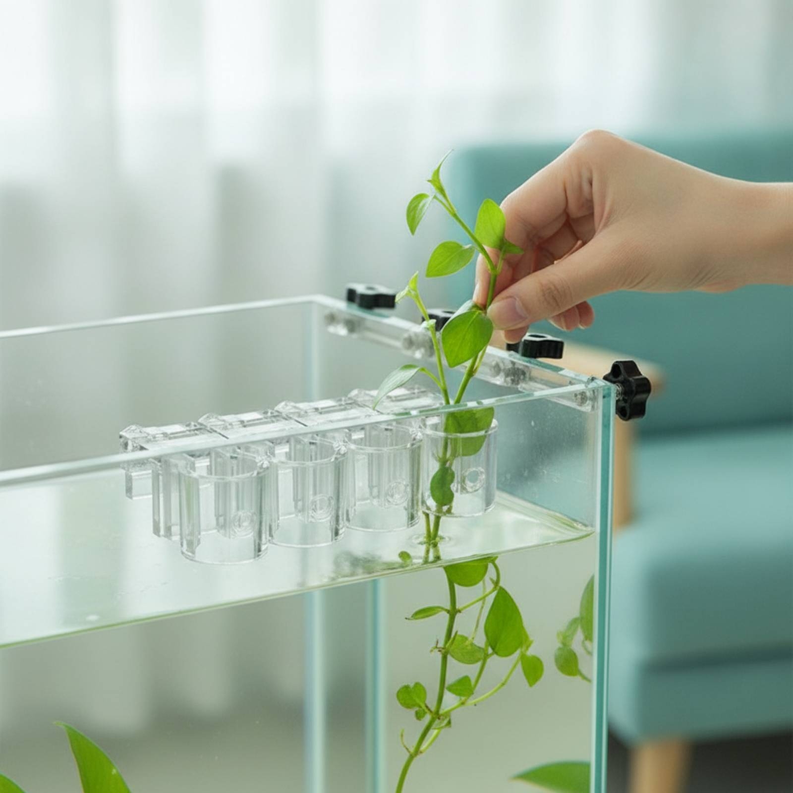 6 Piezas de Soportes Transpare - Aquarium Planted Aquarium reseña y precio