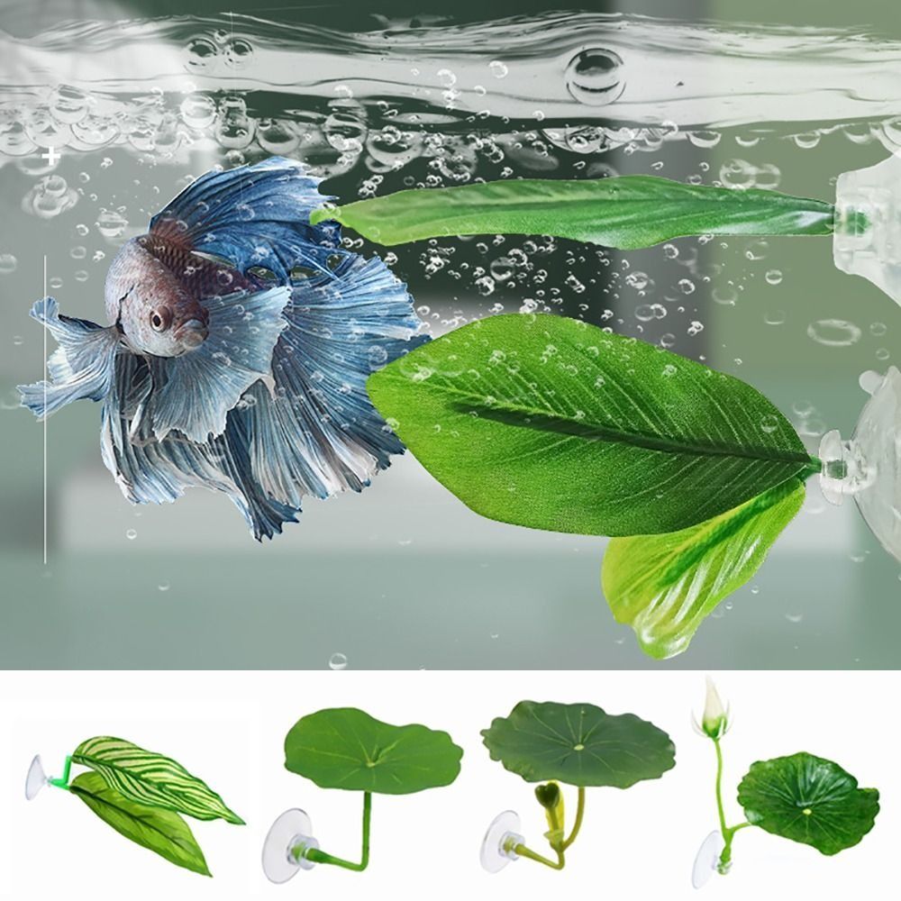 Hoja de descanso de pescado Be - Aquarium Plant Ornament reseña y precio
