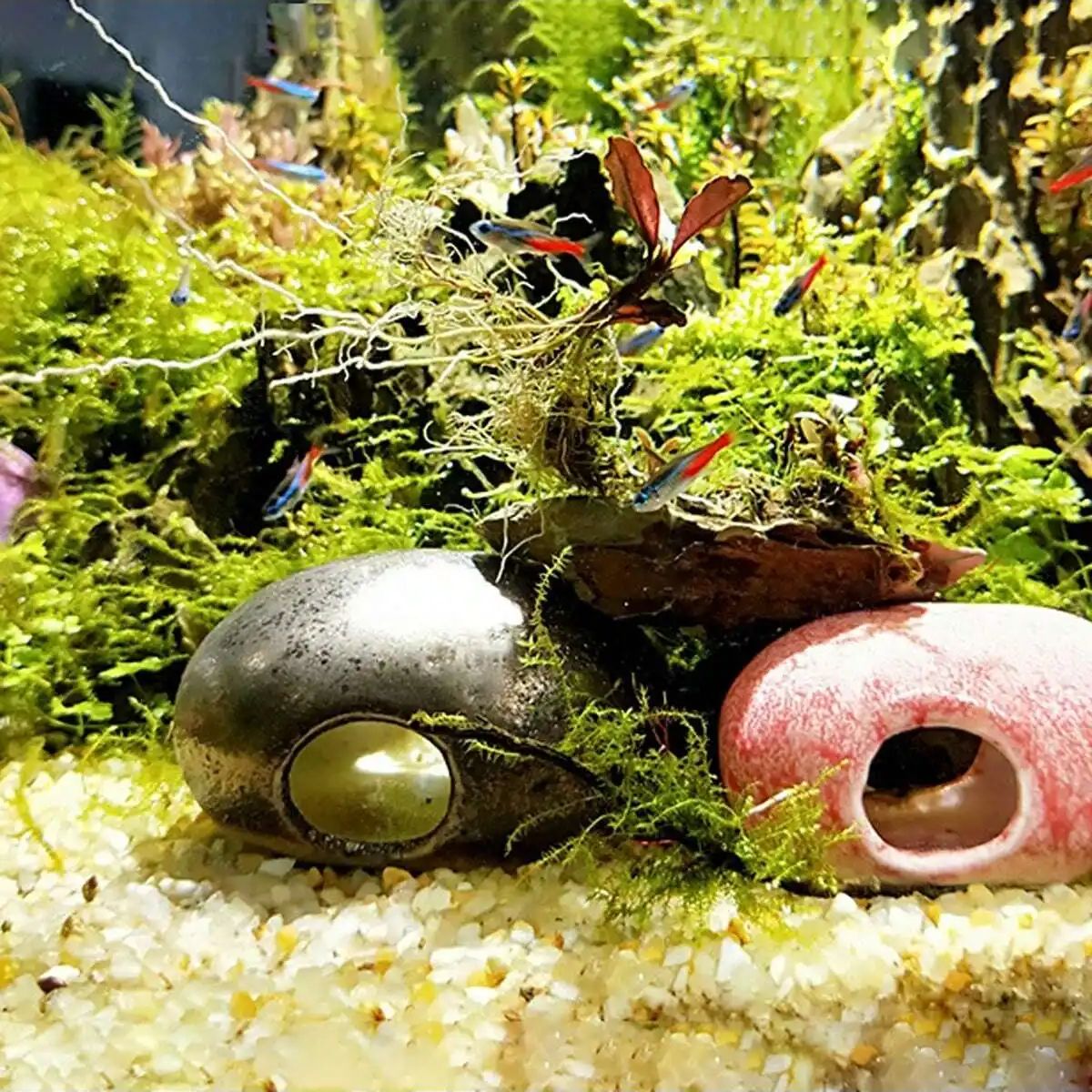 1 unidad-250g de cristales nat - Aquarium Planted Sand reseña y precio