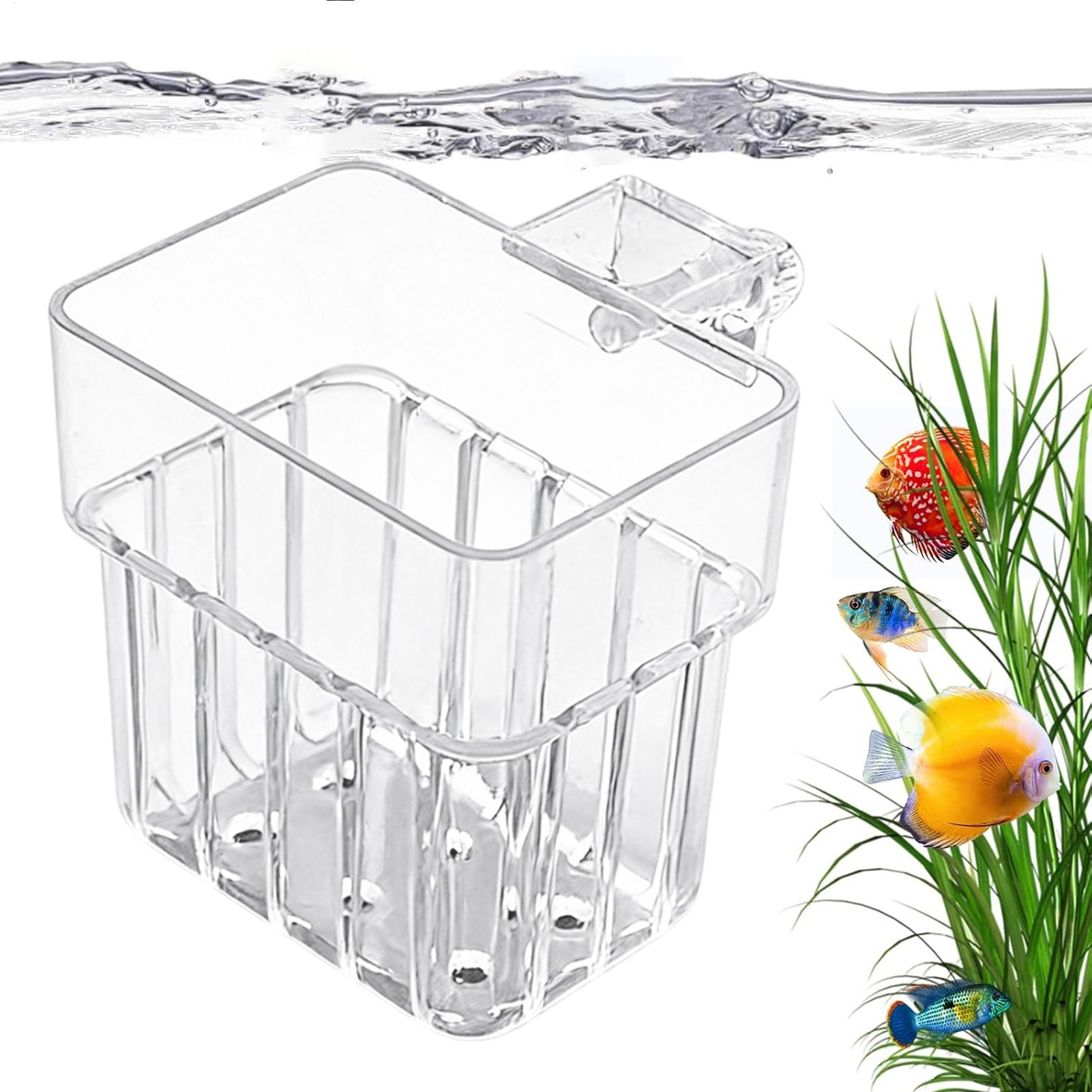 Maceta Transparente Colgante p - Planted Aquarium Kit reseña y precio
