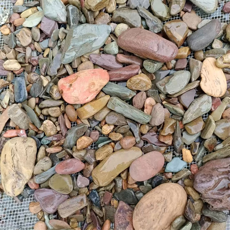 Fondo de pecera de 500g, piedr - Aquarium Planted Sand reseña y precio