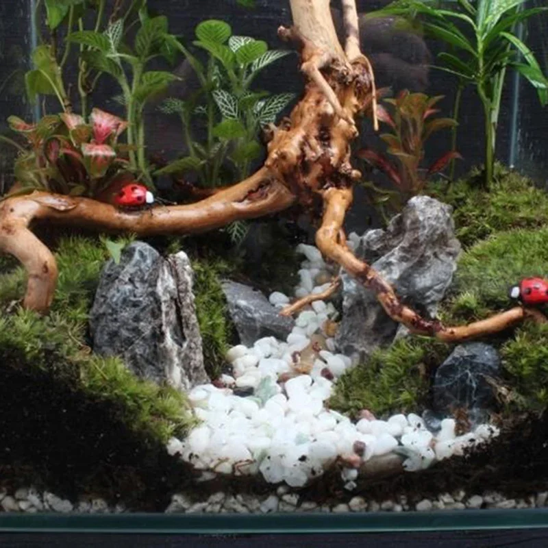 Tronco de árbol Natural de mad - Aquarium Plant Design reseña y precio