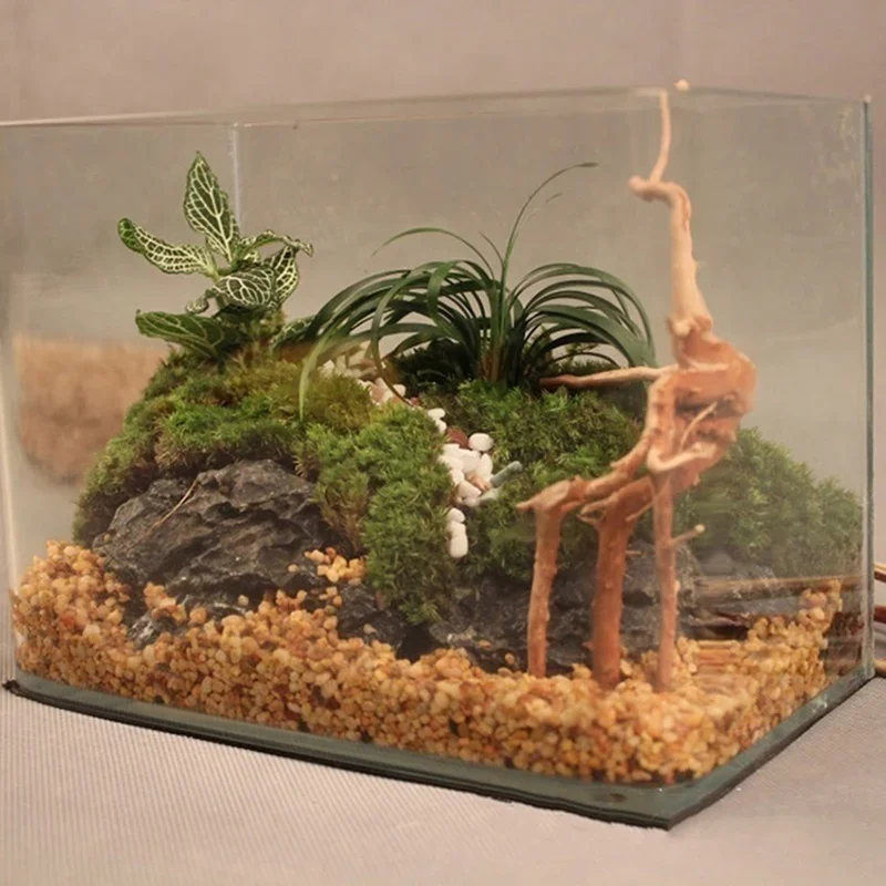 Tronco de árbol Natural de mad - Aquarium Plant Design reseña y precio