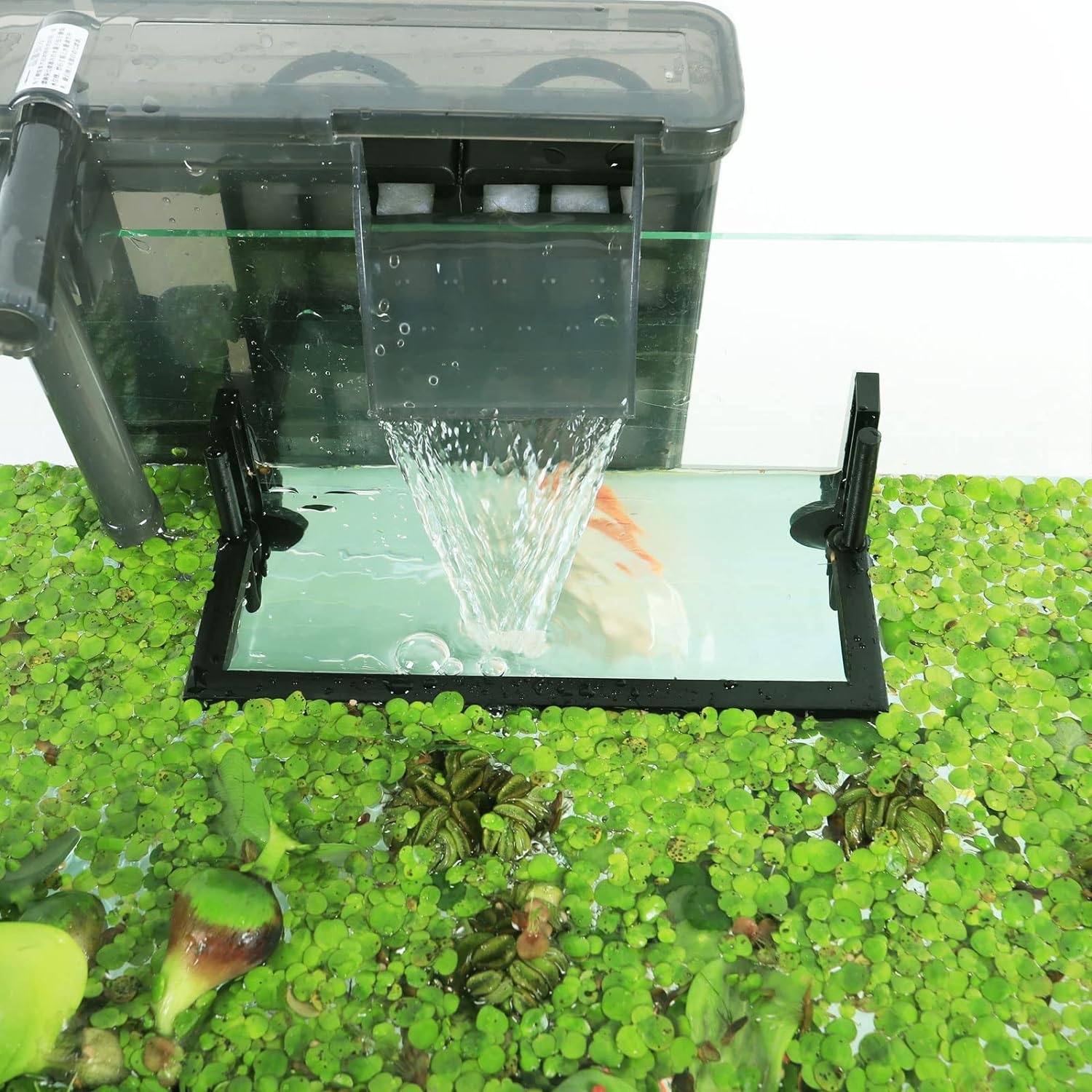 Corral de plantas flotantes pa - Planted Aquarium Heater reseña y precio