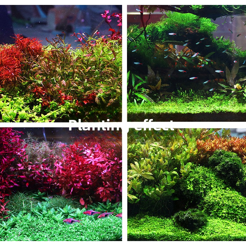 SYSENCIAGA-sustrato de acuario - Aquarium Planted Sand reseña y precio