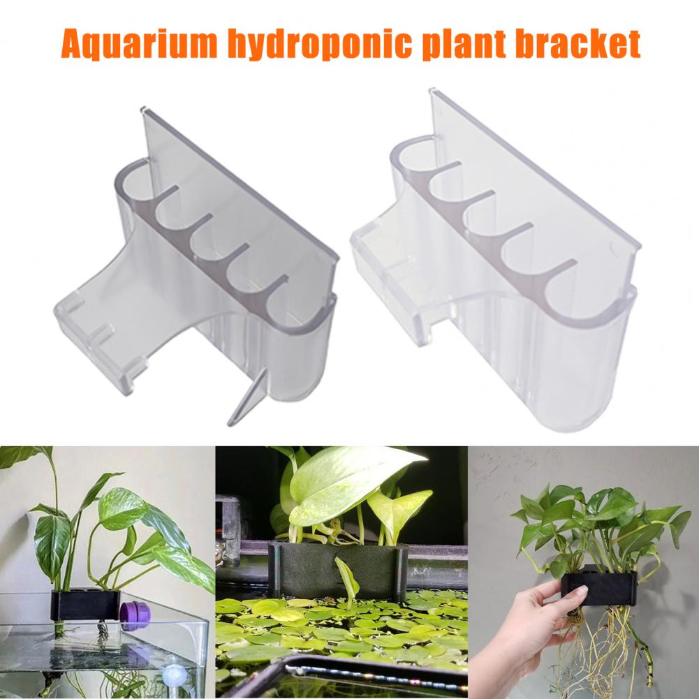 Soporte para plantas de acuari - Aquarium Plant In Pot reseña y precio