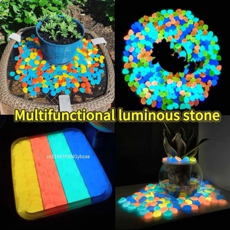 100-800 guijarros que brillan  - Aquarium Plant In Pot reseña y precio