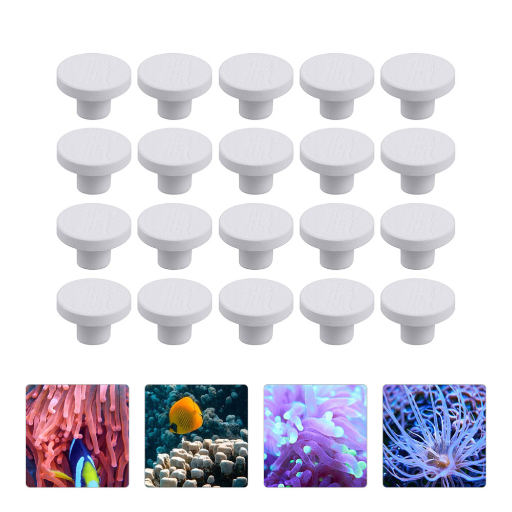 Base de Cerámica SPS para Frag - Aquarium Plant Design reseña y precio