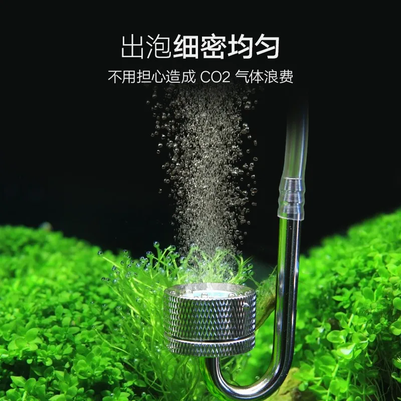 Anillo de Roca Volcánica Roja  - Planted Aquarium Carpet Plant reseña y precio