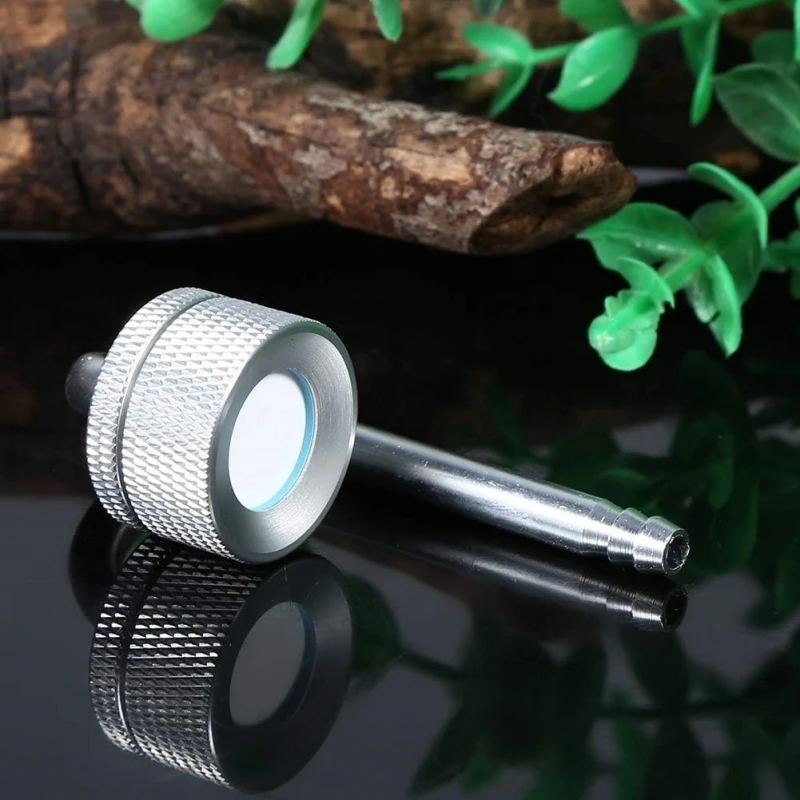 Anillo de Roca Volcánica Roja  - Planted Aquarium Carpet Plant reseña y precio