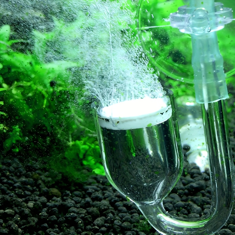 Difusor de atomizador de CO2 d - Aquarium Plant In Pot reseña y precio