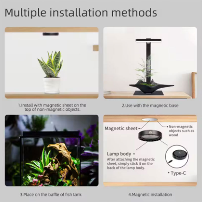 Lámpara de Cultivo para Planta - Aquarium Plant Diseases reseña y precio