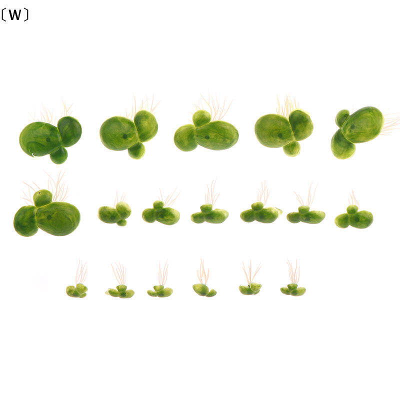 maveraW Organi18pcs/set acuari - Planted Aquarium Kit reseña y precio