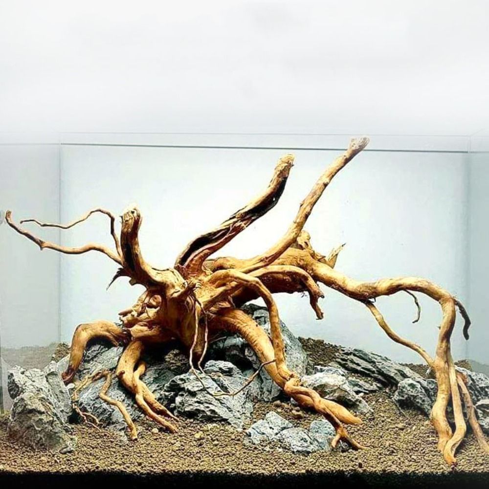 Decoración de tronco de árbol  - Aquarium Plant Design reseña y precio