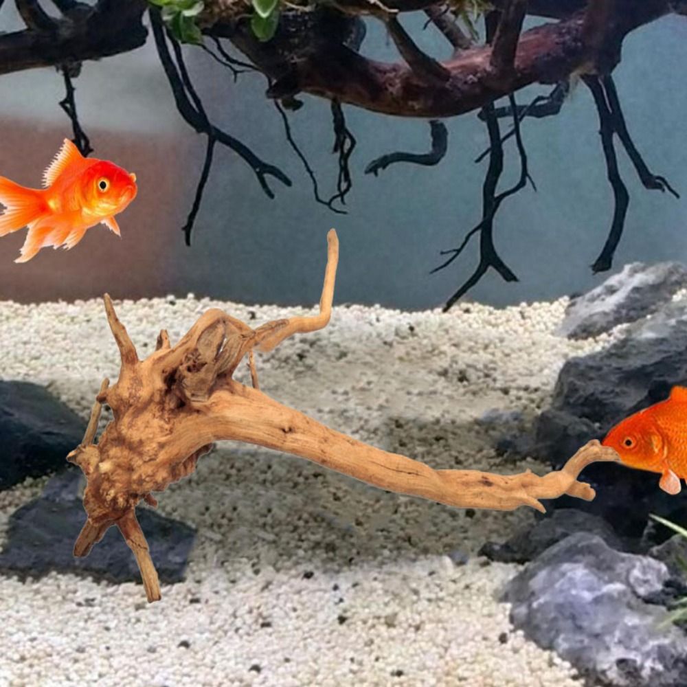 Decoración de tronco de árbol  - Aquarium Plant Design reseña y precio