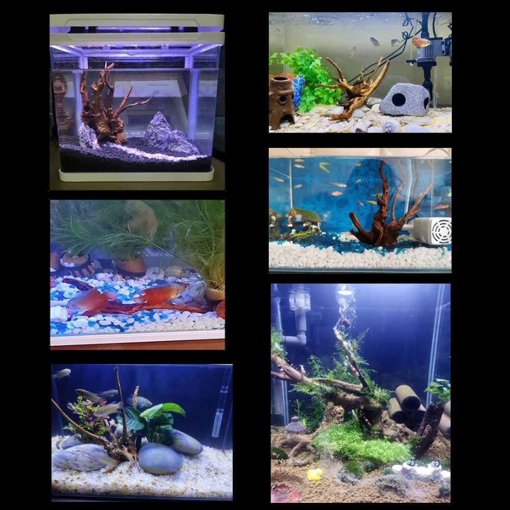 Decoración de tronco de árbol  - Aquarium Plant Design reseña y precio