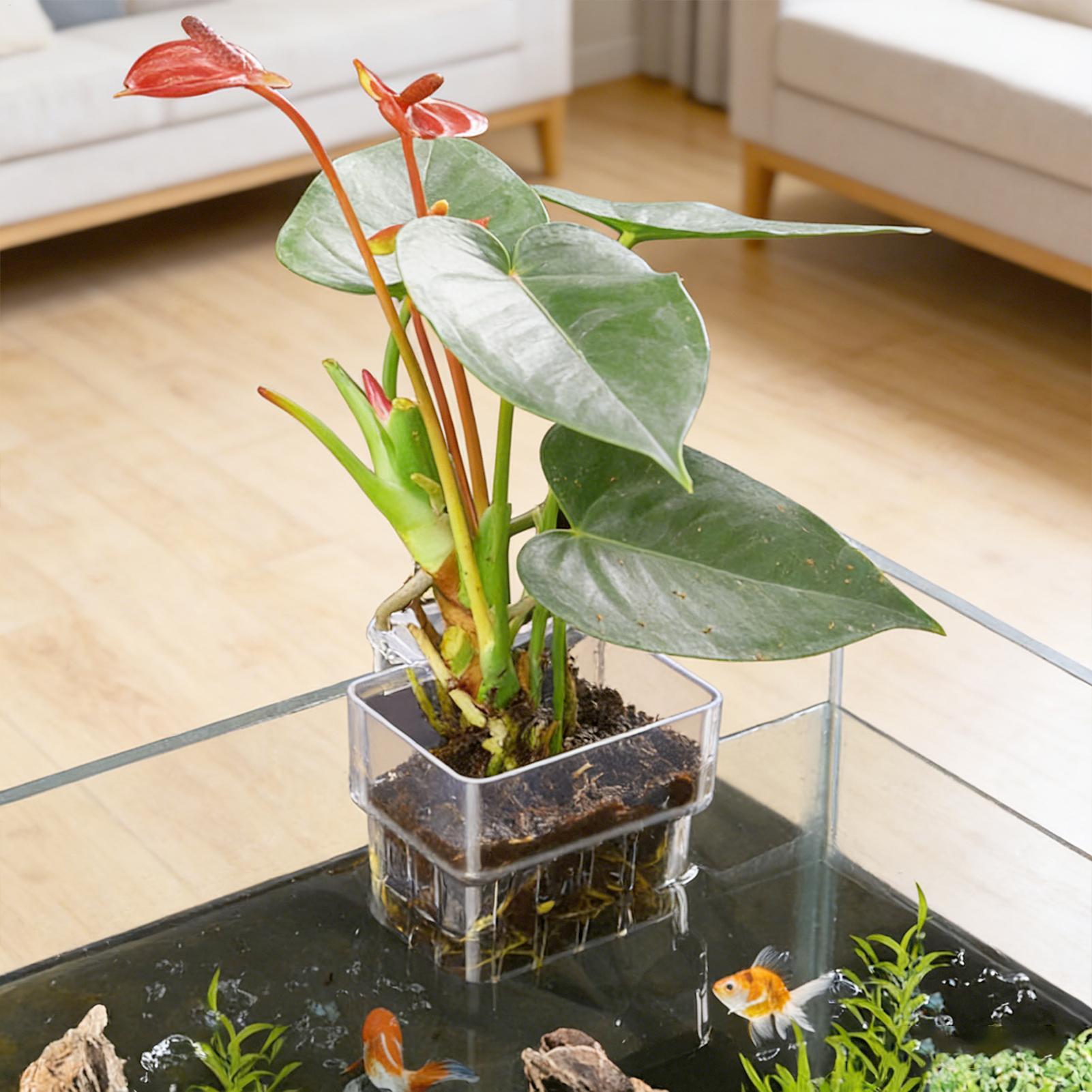 Maceta Transparente Colgante p - Planted Aquarium Kit reseña y precio