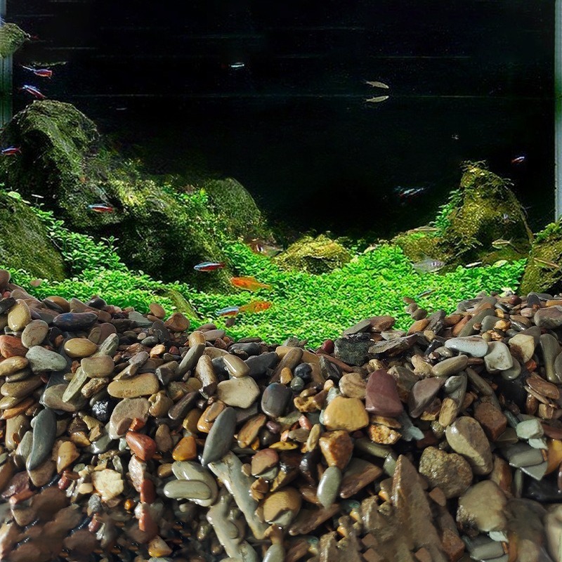 Piedras de Río para Acuario, A - Aquarium Planted Sand reseña y precio