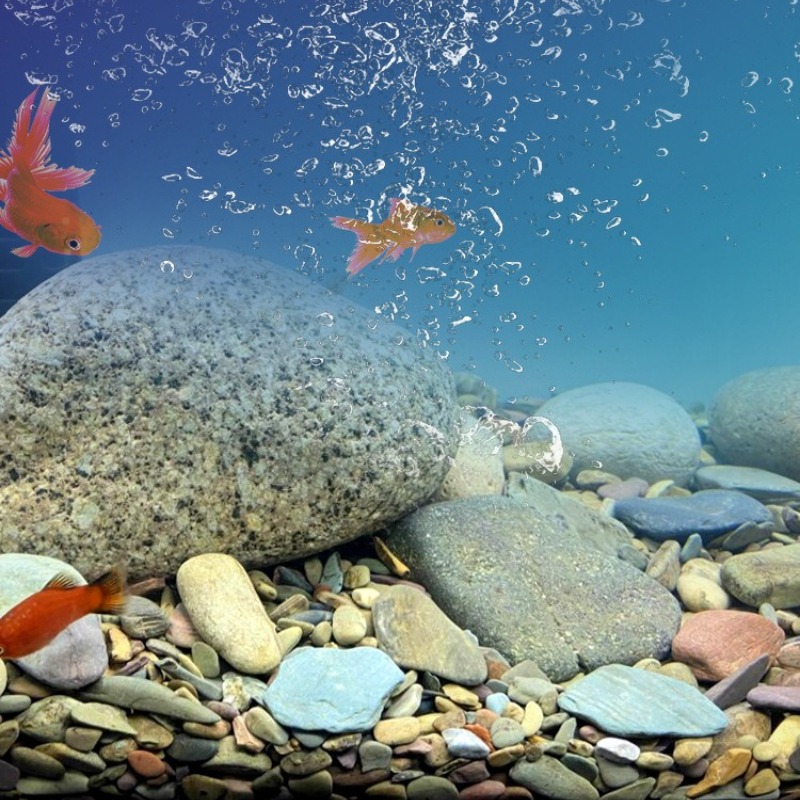 Piedras de Río para Acuario, A - Aquarium Planted Sand reseña y precio