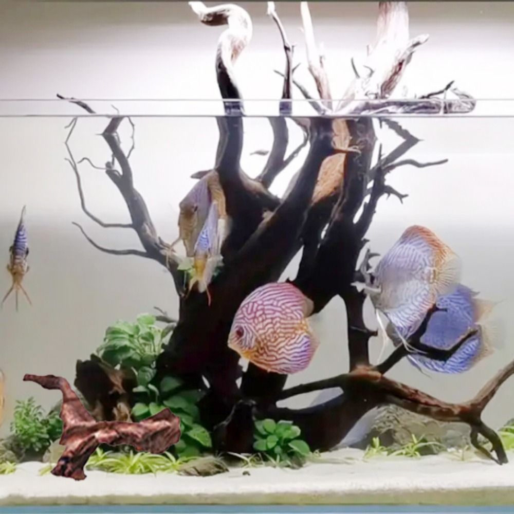 Tronco de Madera Natural de Co - Aquarium Plant Design reseña y precio