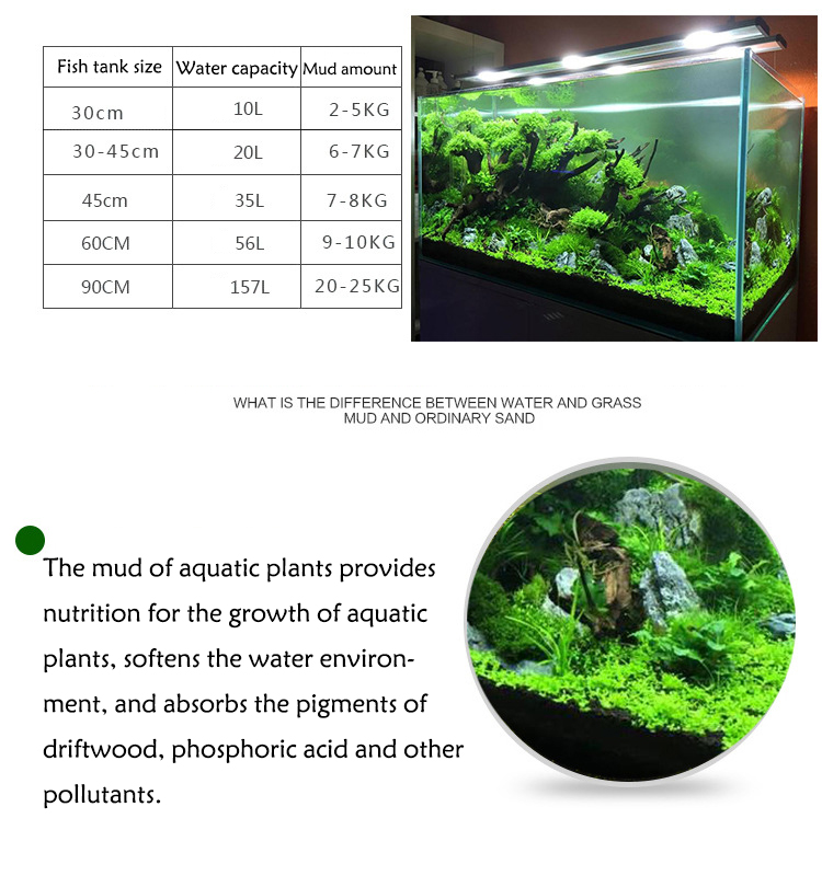 Semillas de plantas de Acuario - Aquarium Plant In Pot reseña y precio