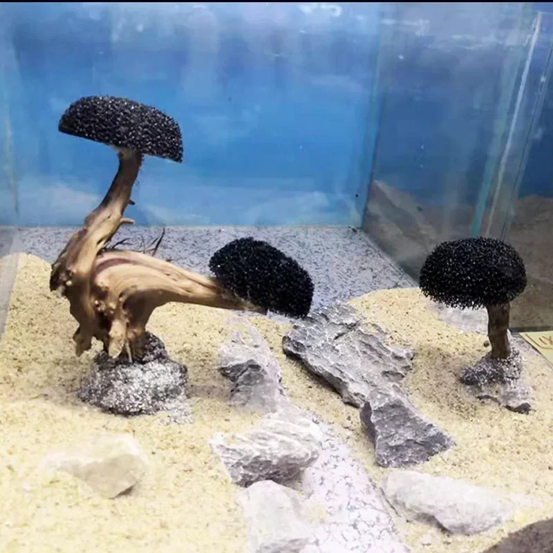 Planta decorativa para acuario - Planted Aquarium Without Fish reseña y precio