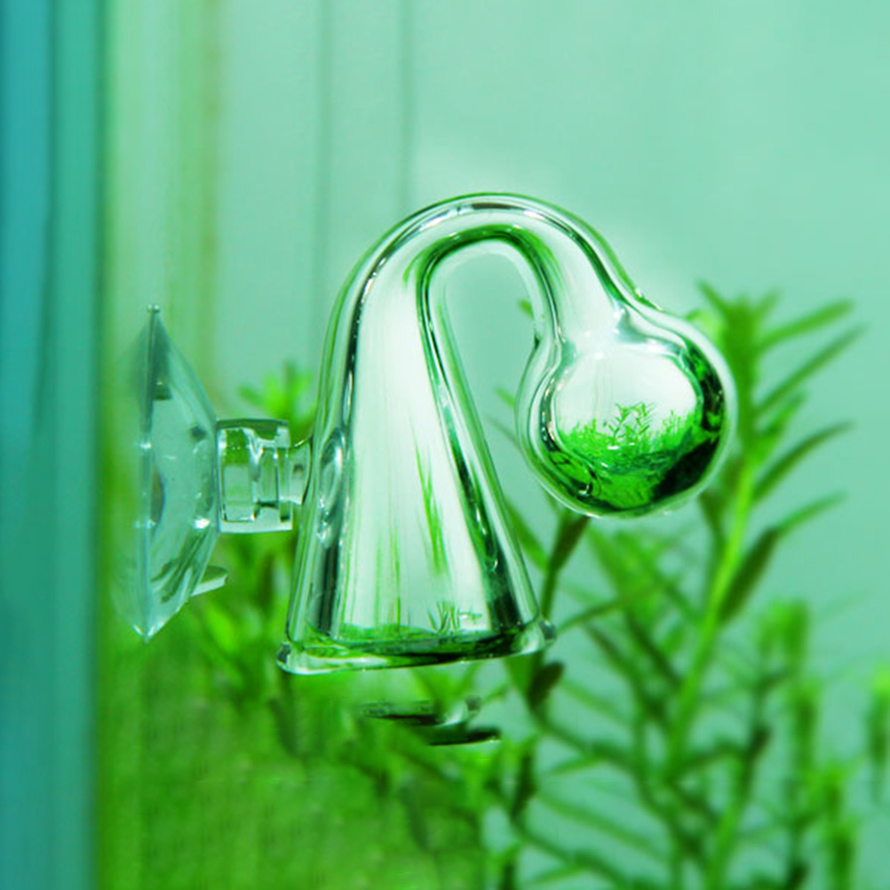 Comprobador de caída de vidrio - Aquarium Plant In Pot reseña y precio