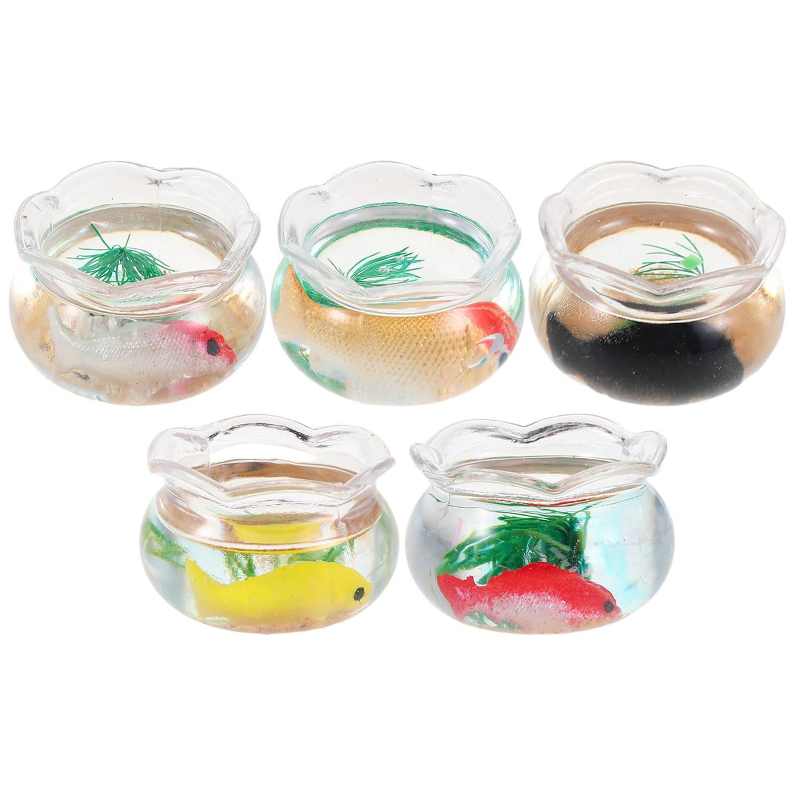 5 piezas de mini pecera redond - Aquarium Planted Aquarium reseña y precio